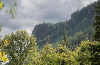 Forest Escape at Wilderness Rim - Foto 37