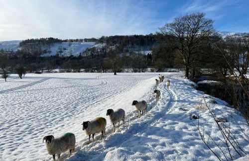 The Dale - Luxurious annexe with stunning view - Foto 34