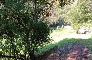 Il Pettirosso - Foto 34