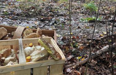 Naturidyll Teufelsmauer - Foto 10