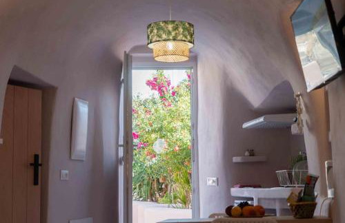 Bird Nest-Santorini Cave houses - Foto 9