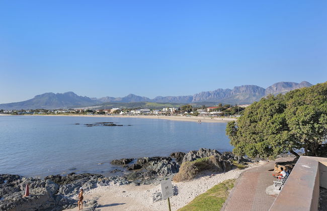 Tweede Boom - Photo 24