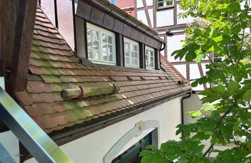 Buschschänke Lomnitz - Appartements - Foto 31