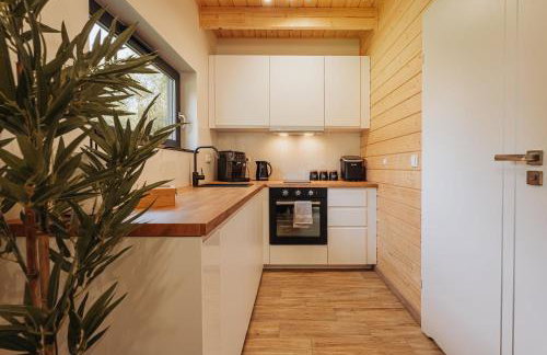 Honey House Wierchy- prywatna strefa SPA - Foto 44