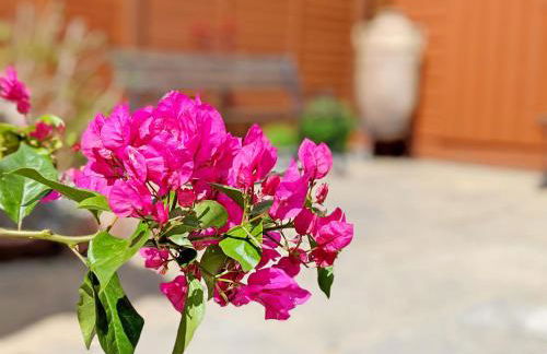 Sparrow Cottage - Westbourne - Photo 10