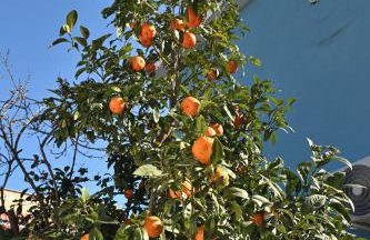 Casa Benesere Corpo E Mente - Foto 18