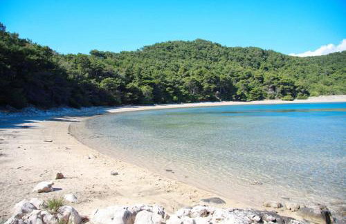 LILY's Peaceful Oasis- BRAND NEW - Foto 36