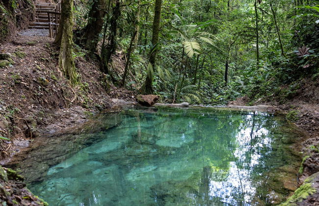 Cabañas Caeli, Peaceful Rainforest Retreat with Stunning Views - Foto 18