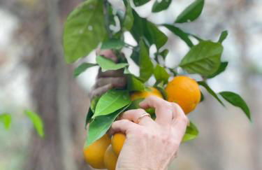 Casa da nascente douro - Foto 49