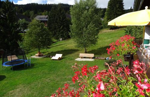 Schwarzwald-Hotel Kraeutle - Foto 68