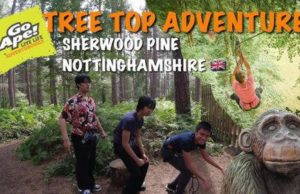 Luxury modern home log fire & outdoor living - Foto 31