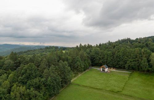 Okno na Beskidy - Foto 30