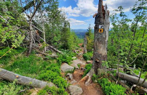 Apartment Landhaus Wildfeuer by Interhome - Foto 47