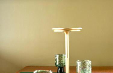 La sauvagine les pieds dans l'eau - Foto 15