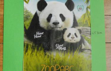 Les lumières de la Loire - Foto 43