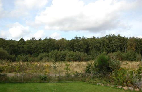 Mountain View - Foto 12