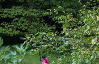 Agriturismo Biomatto - Foto 16