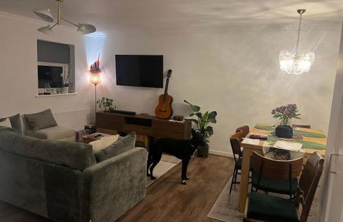 Room at Wallington Green room for professionals, near station, 30 min to London Bridge, 27 min to LDN Victoria - Foto 6