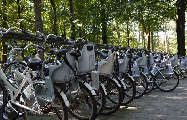 Chalet in Garderen With Fenced Garden - Photo 26