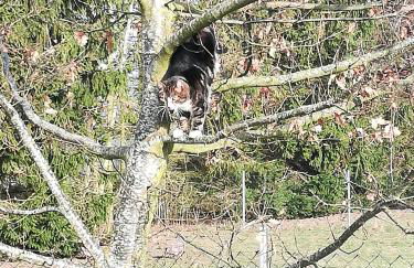 Ferienwohnung Blaue Sonne Devin - Foto 19