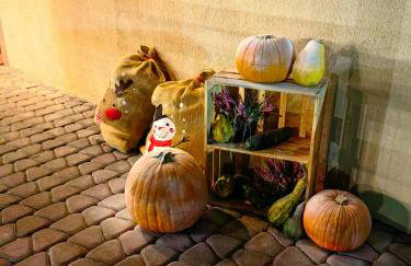 Kajaki wino i śpiew - domek z sauną w otoczeniu lasów i sąsiedztwie zalewu - Foto 38