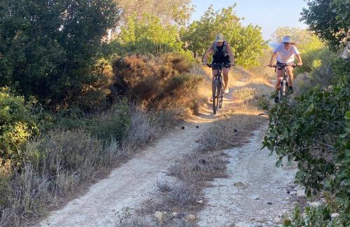 Pantheon Apartments & Studios - Photo 84