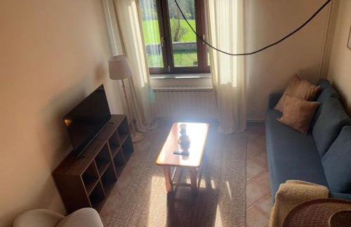 Escuelas de collía B AT-1537-AS - Photo 11