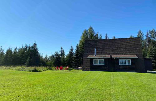 Big Moose Cabin at Moose Tracks - Foto 23