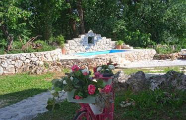 House Mali Dvori - Foto 52