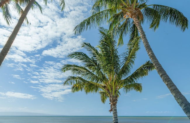 Castle at Moloka'i Shores - Photo 25