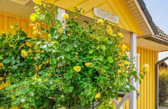 Ferienhaus Pippilotta Kronsgaard - Foto 31