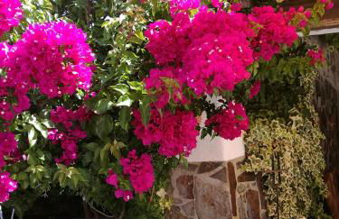 A Casa da Fonte - Foto 30