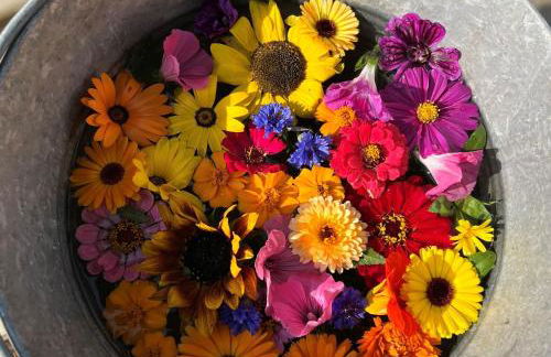 Ferienwohnung Schafberg - Foto 14