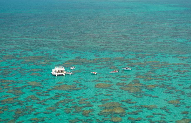 Praia de Maracajaú sem Snorkeling - Foto 1