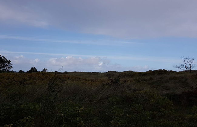 Cozy Beach Retreat - By Traum Ferienwohnungen - Photo 3