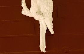 Apartment Silver Star with parking - Photo 36