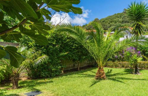 Azores Dreams - Sea View House - Photo 47