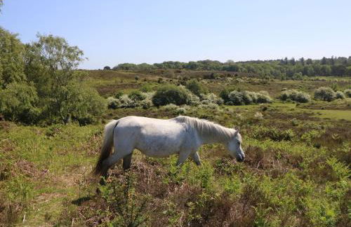 Woodlands House - Foto 65