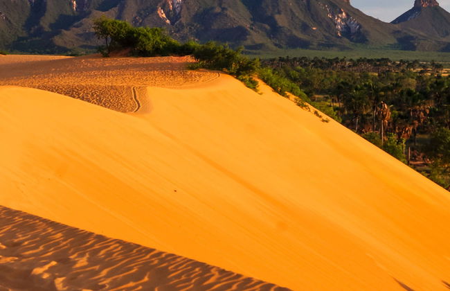 Tour por el Parque Estatal Jalapão - Foto 1
