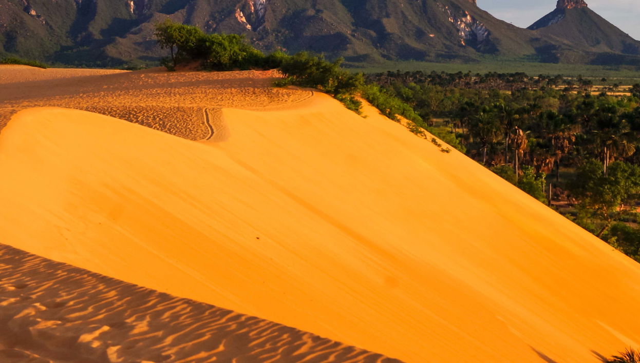 Tour por el Parque Estatal Jalapão