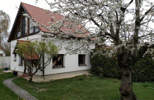 Zur alten Fahrschule - Foto 40