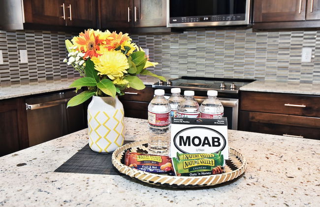 Entrada at Moab 420B - Photo 20