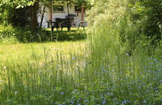 Gospodarstwo Agroturystyczne Stary Młyn Wilczkowice - Foto 20