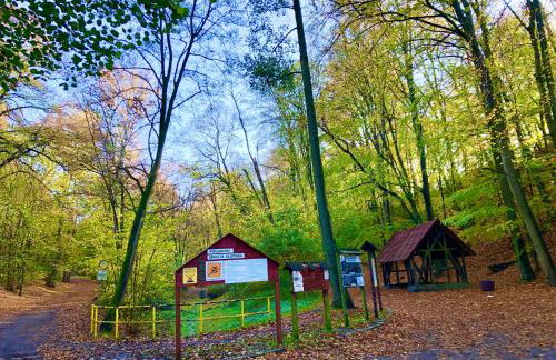 LAS SŁUPSKI PREMIUM LOVE APARTAMENT NR5 Wifi Netflix Smart TV50 full kitchen double bathtub up to 4 people full pleasure quality stay - Photo 31