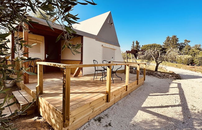 I Sicomori - Seme di Carota - Glamping e appartamenti con piscina a Saturnia - Foto 33