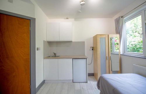 London Elegant New Studio - Foto 12