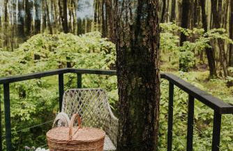 Dziki Las - domki na drzewach - Foto 42