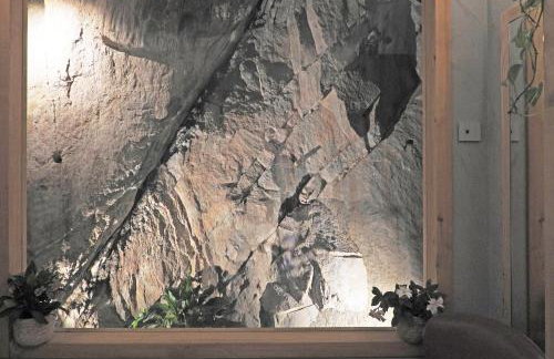 Green Chalet Scalotta - Wonderful Terrace Lake and Mounts View Jacuzzi & Spa - Foto 9