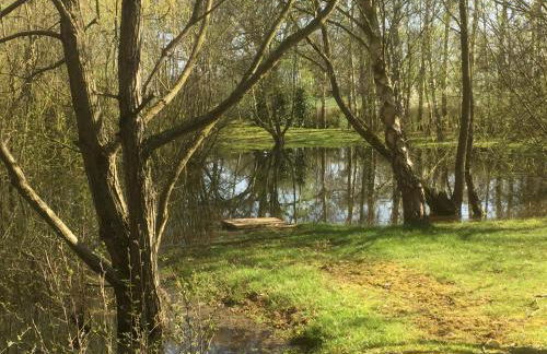 Rose cottage - Photo 9