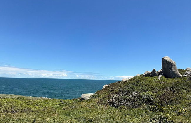 Pousada Cardoso Surf Camping - Laguna - SC - Photo 56